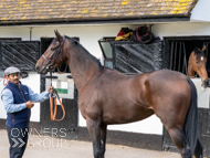 NH051025-48 - Thewoodcorner